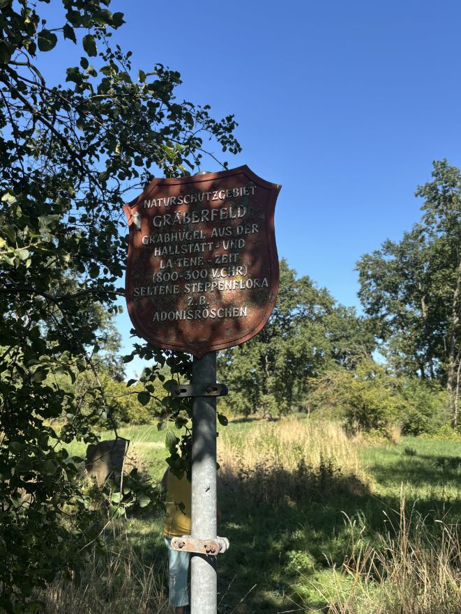 2025.12.03_Gräberfeld 8- 2025