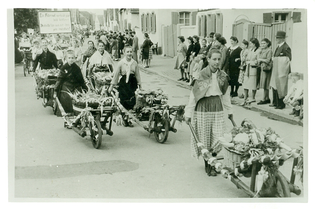 Rettichfestumzug 1951